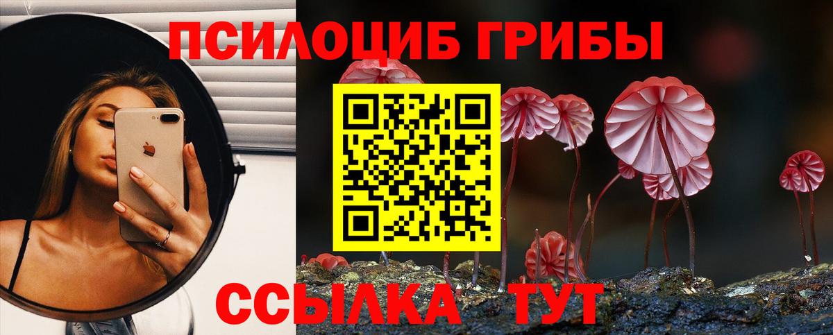 Псилоцибиновые грибы прущие грибы  Вход с VPN  Тосно 