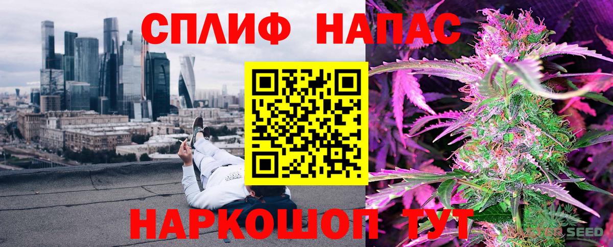 Бошки марихуана сатива Тосно
